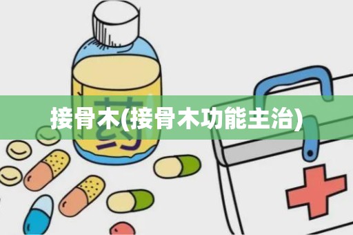 接骨木(接骨木功能主治)