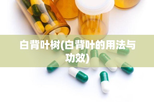 白背叶树(白背叶的用法与功效)