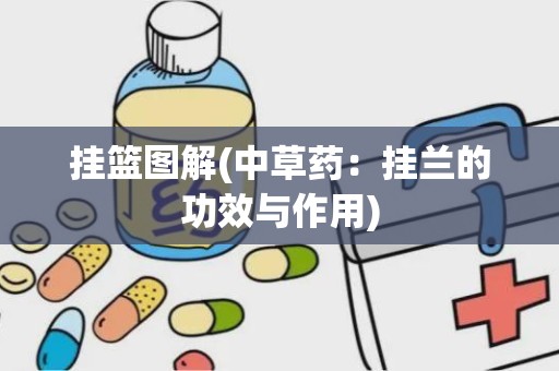 挂篮图解(中草药：挂兰的功效与作用)