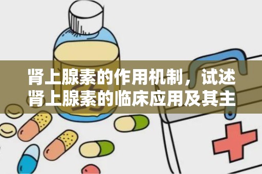 肾上腺素的作用机制，试述肾上腺素的临床应用及其主要作用机制