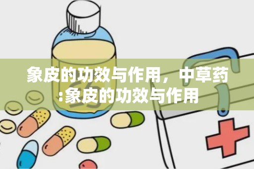 象皮的功效与作用，中草药:象皮的功效与作用