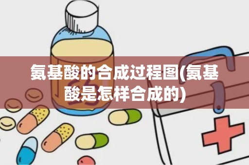 氨基酸的合成过程图(氨基酸是怎样合成的)