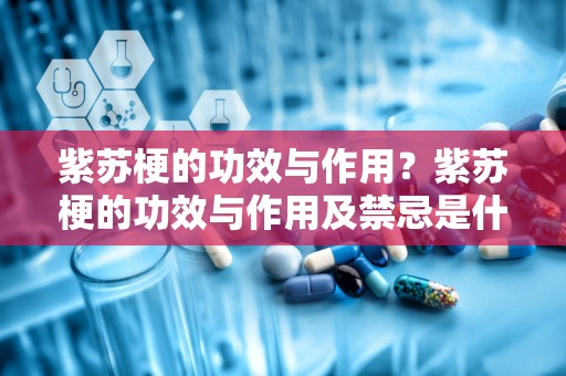 紫苏梗的功效与作用？紫苏梗的功效与作用及禁忌是什么