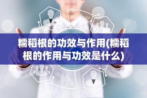 糯稻根的功效与作用(糯稻根的作用与功效是什么)