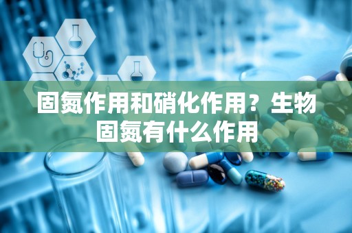 固氮作用和硝化作用？生物固氮有什么作用