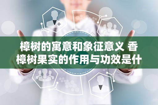 樟树的寓意和象征意义 香樟树果实的作用与功效是什么