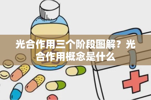 光合作用三个阶段图解？光合作用概念是什么