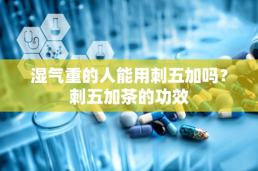 湿气重的人能用刺五加吗？刺五加茶的功效