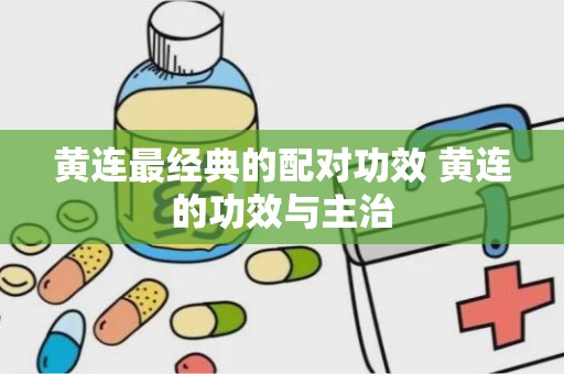 黄连最经典的配对功效 黄连的功效与主治