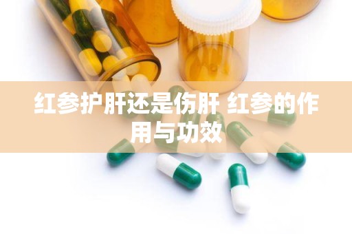 红参护肝还是伤肝 红参的作用与功效