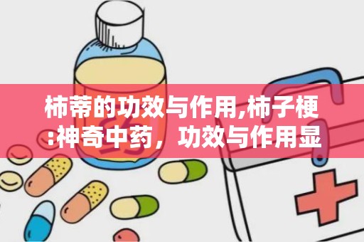 柿蒂的功效与作用,柿子梗:神奇中药，功效与作用显明!