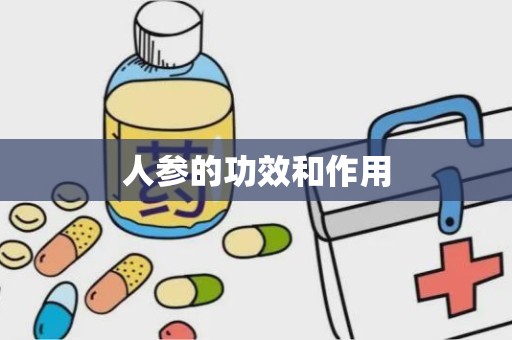 人参的功效和作用