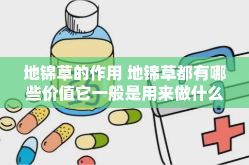 地锦草的作用 地锦草都有哪些价值它一般是用来做什么的