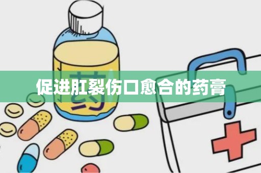 促进肛裂伤口愈合的药膏