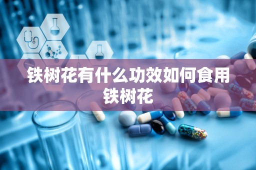 铁树花有什么功效如何食用铁树花