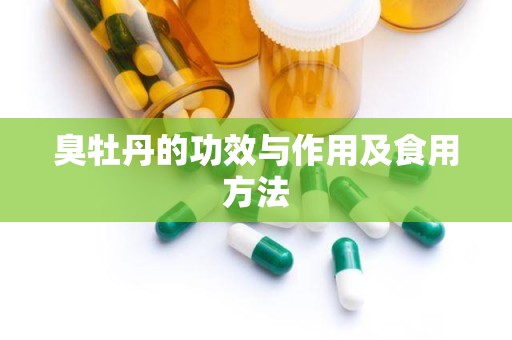 臭牡丹的功效与作用及食用方法