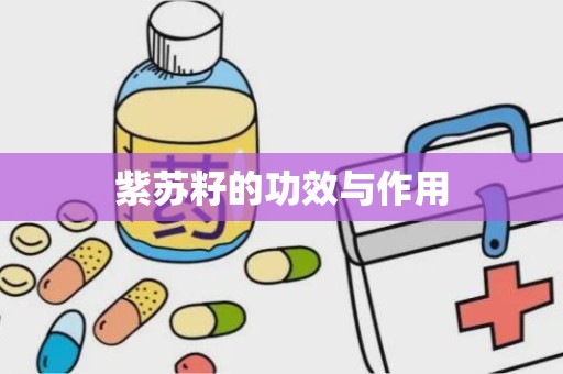 紫苏籽的功效与作用