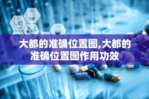 大都的准确位置图,大都的准确位置图作用功效