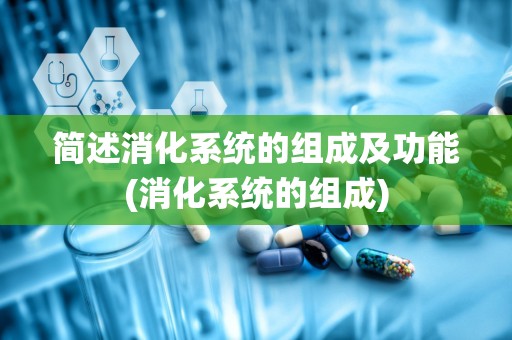 简述消化系统的组成及功能(消化系统的组成)