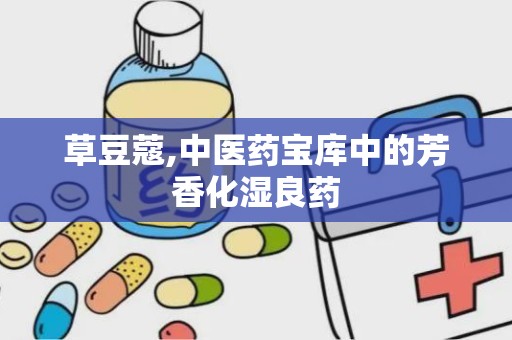 草豆蔻,中医药宝库中的芳香化湿良药