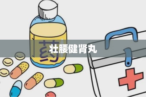 壮腰健肾丸