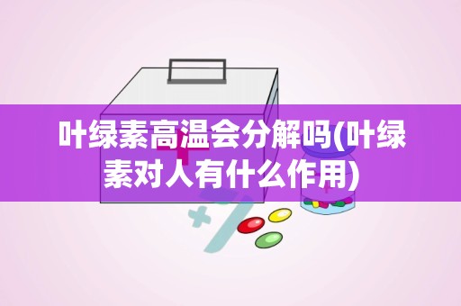 叶绿素高温会分解吗(叶绿素对人有什么作用)