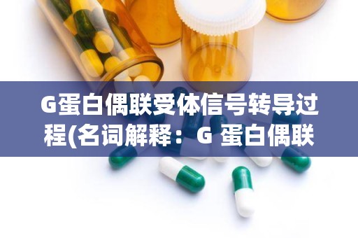 G蛋白偶联受体信号转导过程(名词解释：G 蛋白偶联受体)