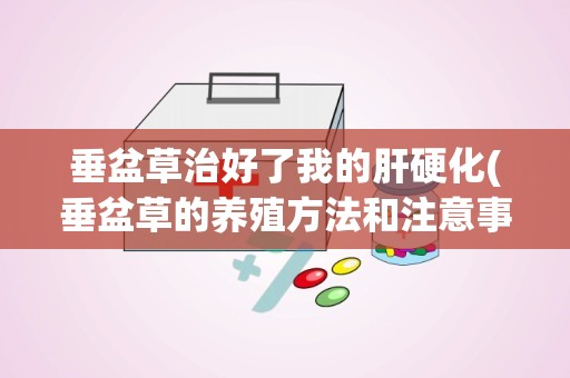 垂盆草治好了我的肝硬化(垂盆草的养殖方法和注意事项,垂盆草怎么养)