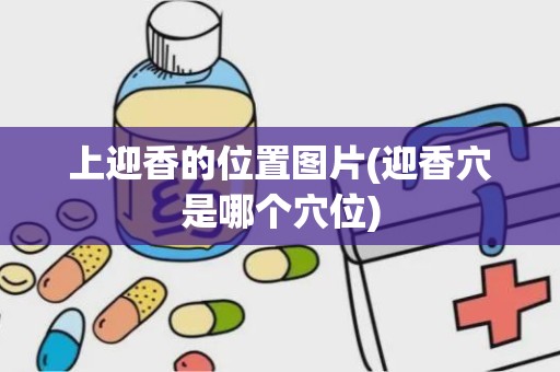 上迎香的位置图片(迎香穴是哪个穴位)