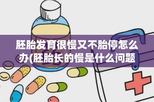 胚胎发育很慢又不胎停怎么办(胚胎长的慢是什么问题)