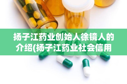 扬子江药业创始人徐镜人的介绍(扬子江药业社会信用代码)