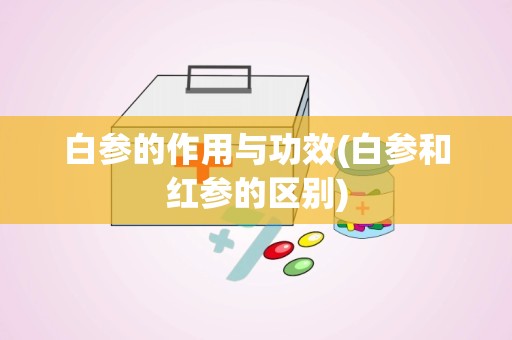 白参的作用与功效(白参和红参的区别)