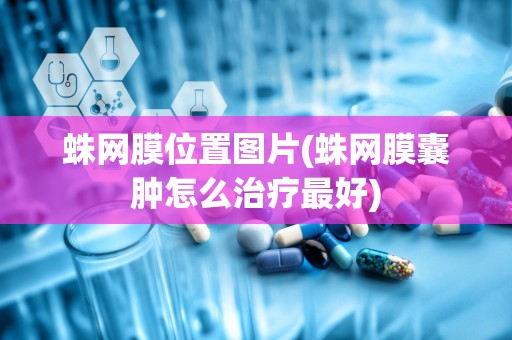 蛛网膜位置图片(蛛网膜囊肿怎么治疗最好)