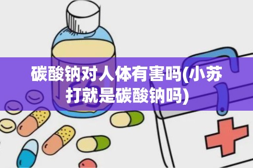 碳酸钠对人体有害吗(小苏打就是碳酸钠吗)