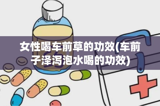 女性喝车前草的功效(车前子泽泻泡水喝的功效)