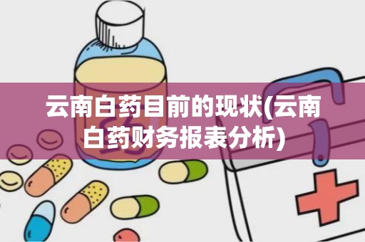 云南白药目前的现状(云南白药财务报表分析)