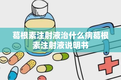 葛根素注射液治什么病葛根素注射液说明书