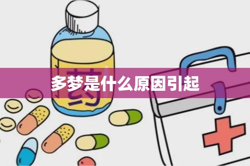 多梦是什么原因引起