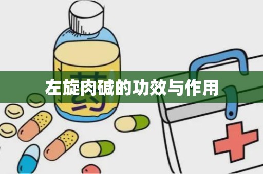 左旋肉碱的功效与作用