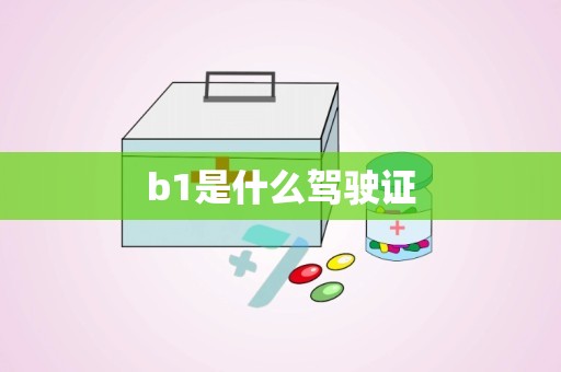 b1是什么驾驶证