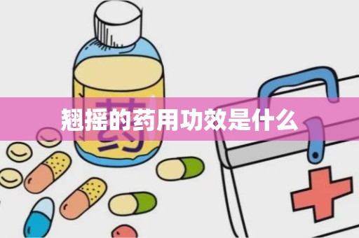 翘摇的药用功效是什么