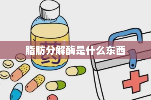 脂肪分解酶是什么东西