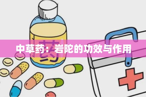 中草药：岩陀的功效与作用