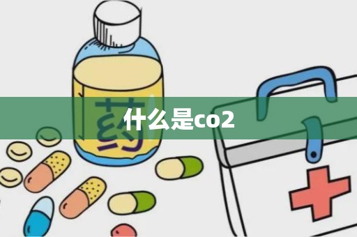 什么是co2