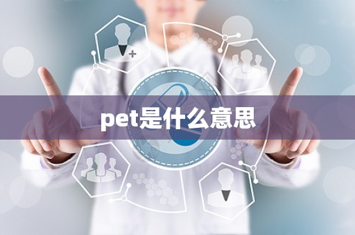 pet是什么意思