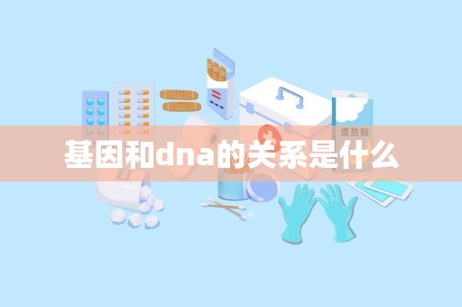 基因和dna的关系是什么