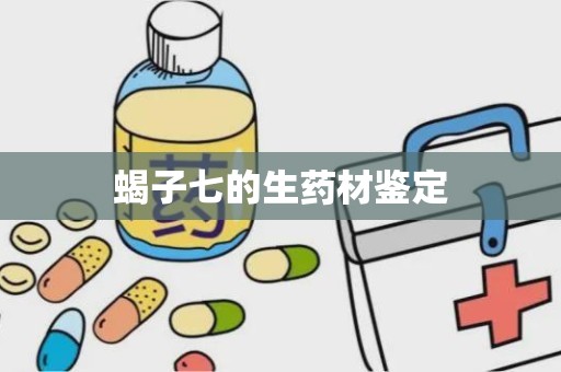 蝎子七的生药材鉴定