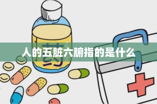 人的五脏六腑指的是什么