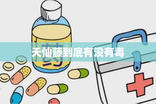 天仙藤到底有没有毒