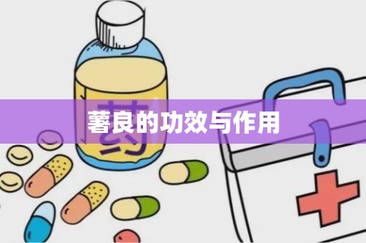 薯良的功效与作用